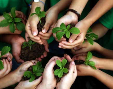 ¿Tienes un eco-negocio y quieres que hable de él? ¡CLICA AQUÍ!